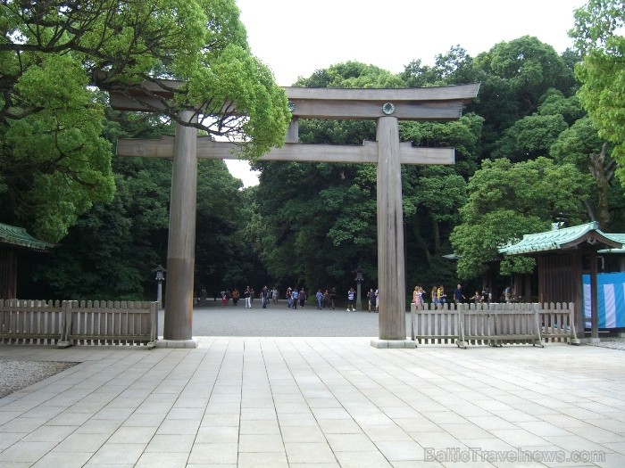 Sindzjukas (Šinjuku) parks ir skaistākais no visiem Tokijas parkiem (Foto: Guna Ķibere) 70571