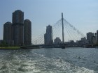 Tokijas pilsētas daļas savieno tilti (Foto: Guna Ķibere) 17
