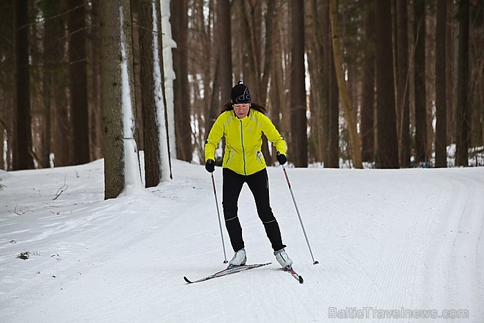 Reiņa trase piesaista Latvijas un ārvalstu ģimenes ziemas priekiem. Foto: www.reinatrase.lv 72173