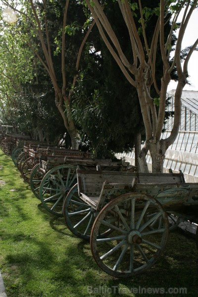 Iepazīsti olīveļļas vēsturi, ražošanas veidus un izplatīšanas ceļus  Turcijas Olīveļļas muzejā OleAtriuM 74921