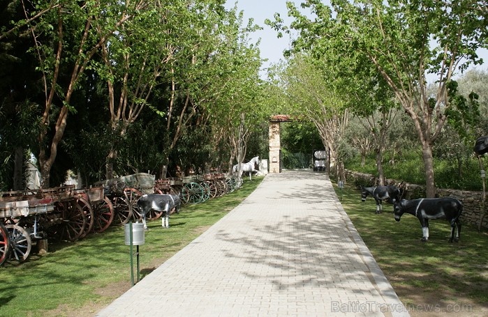 Iepazīsti olīveļļas vēsturi, ražošanas veidus un izplatīšanas ceļus  Turcijas Olīveļļas muzejā OleAtriuM 74927