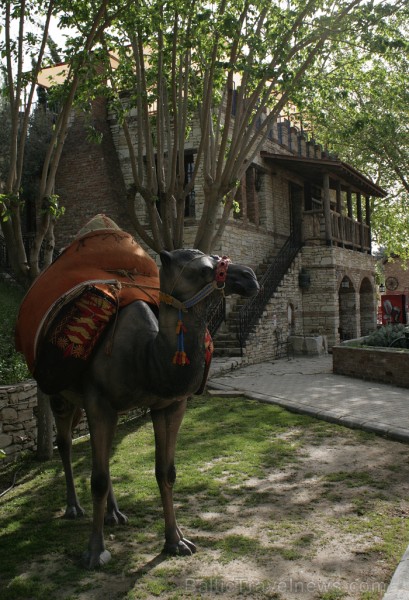 Iepazīsti olīveļļas vēsturi, ražošanas veidus un izplatīšanas ceļus  Turcijas Olīveļļas muzejā OleAtriuM 74928