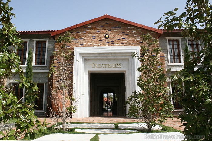 Iepazīsti olīveļļas vēsturi, ražošanas veidus un izplatīšanas ceļus  Turcijas Olīveļļas muzejā OleAtriuM 74934