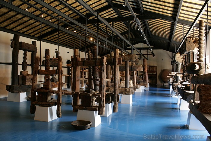 Iepazīsti olīveļļas vēsturi, ražošanas veidus un izplatīšanas ceļus  Turcijas Olīveļļas muzejā OleAtriuM 74949