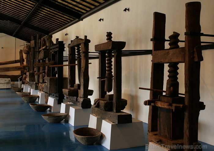 Iepazīsti olīveļļas vēsturi, ražošanas veidus un izplatīšanas ceļus  Turcijas Olīveļļas muzejā OleAtriuM 74950