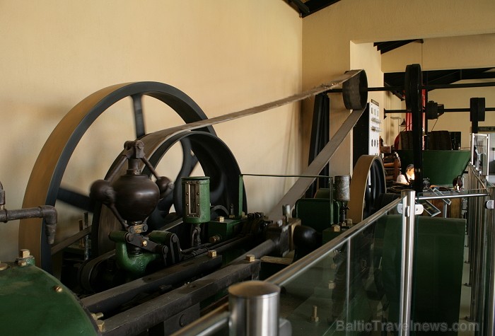Iepazīsti olīveļļas vēsturi, ražošanas veidus un izplatīšanas ceļus  Turcijas Olīveļļas muzejā OleAtriuM 74951