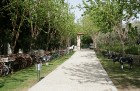 Iepazīsti olīveļļas vēsturi, ražošanas veidus un izplatīšanas ceļus  Turcijas Olīveļļas muzejā OleAtriuM 17