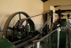 Iepazīsti olīveļļas vēsturi, ražošanas veidus un izplatīšanas ceļus  Turcijas Olīveļļas muzejā OleAtriuM 41