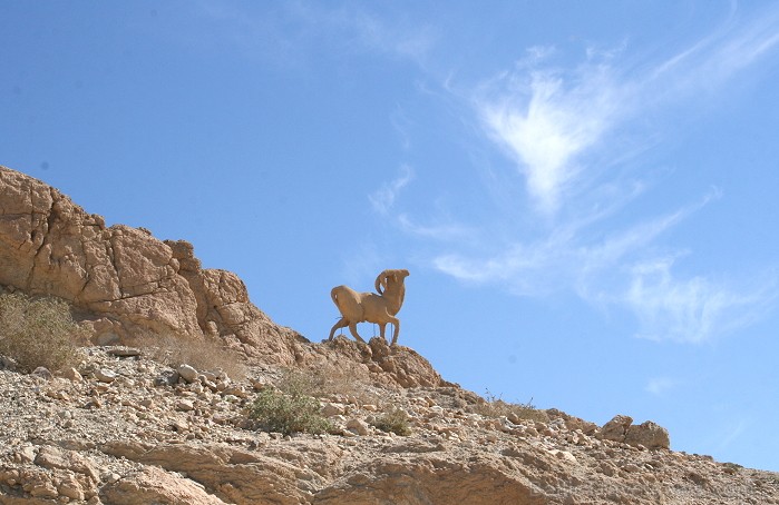 Chebika oāze Tunisijā 77737