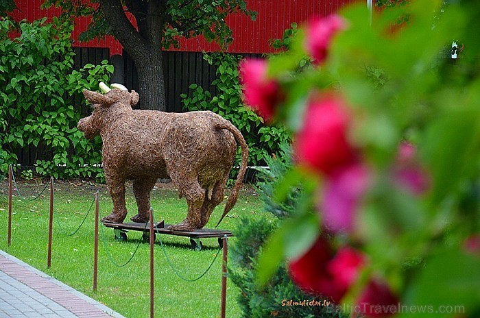 Salmu darbnīca, muzejs - vieta, kur salmi pārtop brīnumainās skulptūrās, lellēs, suvenīros. Foto:Salmu lietas www.salmulietas.lv 78690