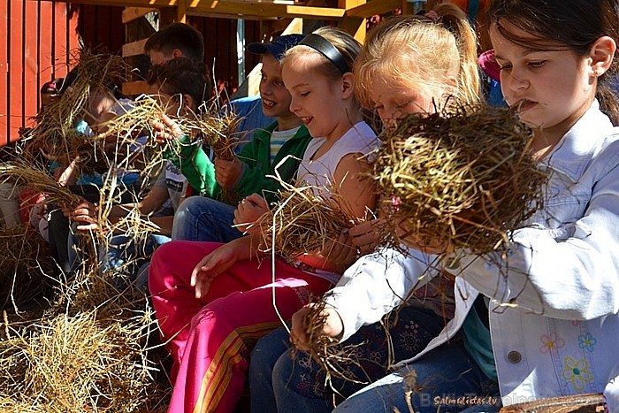 Salmu darbnīca, muzejs-vieta, kur salmi pārtop brīnumainās skulptūrās, lellēs, suvenīros. 
Foto:Salmu lietas  www.salmulietas.lv 78703