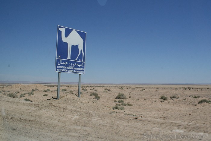 Dodies uz Sahāras tuksnesi (Onk Ejmel) mirāžas meklējumos. Valsts: Tunisija 79172