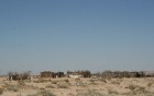 Dodies uz Sahāras tuksnesi (Onk Ejmel) mirāžas meklējumos. Valsts: Tunisija 4