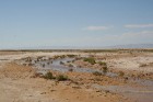 Dodies uz Sahāras tuksnesi (Onk Ejmel) mirāžas meklējumos. Valsts: Tunisija 13