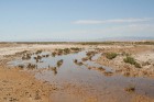 Dodies uz Sahāras tuksnesi (Onk Ejmel) mirāžas meklējumos. Valsts: Tunisija 18