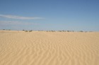 Dodies uz Sahāras tuksnesi (Onk Ejmel) mirāžas meklējumos. Valsts: Tunisija 42