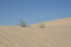 Dodies uz Sahāras tuksnesi (Onk Ejmel) mirāžas meklējumos. Valsts: Tunisija 45
