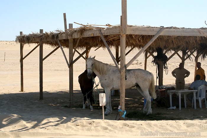 Travelnews.lv sameklē filmas Zvaigžņu kari pilsētas dekorācijas Sahāras tuksnesī (Tunisija) 79248