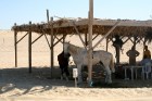 Travelnews.lv sameklē filmas Zvaigžņu kari pilsētas dekorācijas Sahāras tuksnesī (Tunisija) 5