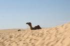 Travelnews.lv sameklē filmas Zvaigžņu kari pilsētas dekorācijas Sahāras tuksnesī (Tunisija) 14