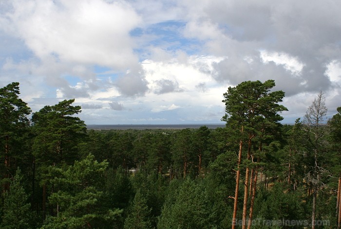 Iepazīsti dabas skaistumu Igaunijas dabas izpētes takā - Rannametsa-Tolkuse. Vairāk www.visitestonia.com 80439