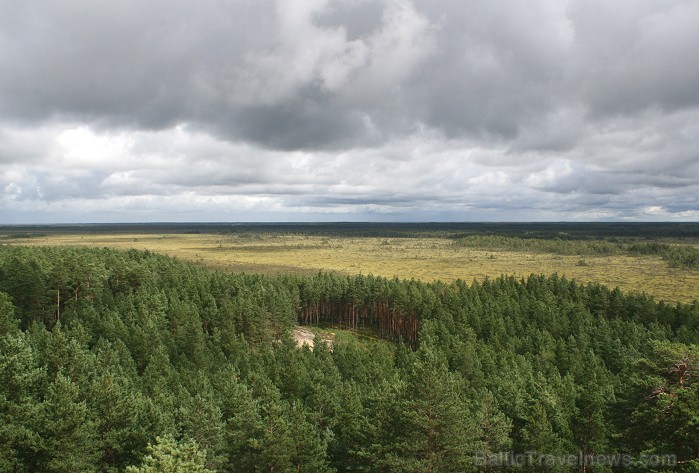 Iepazīsti dabas skaistumu Igaunijas dabas izpētes takā - Rannametsa-Tolkuse. Vairāk www.visitestonia.com 80440
