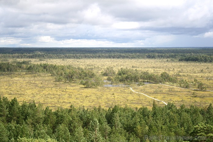 Iepazīsti dabas skaistumu Igaunijas dabas izpētes takā - Rannametsa-Tolkuse. Vairāk www.visitestonia.com 80443
