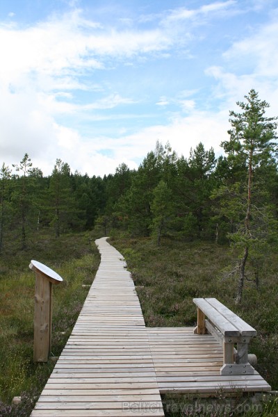 Iepazīsti dabas skaistumu Igaunijas dabas izpētes takā - Rannametsa-Tolkuse. Vairāk www.visitestonia.com 80450