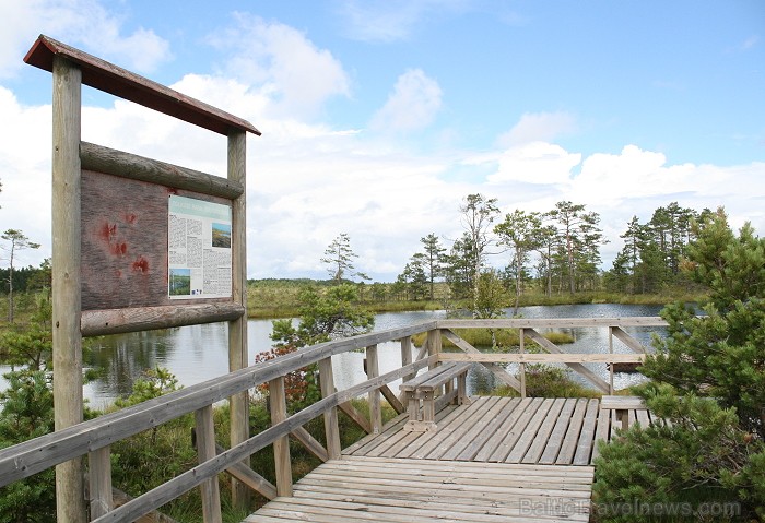 Iepazīsti dabas skaistumu Igaunijas dabas izpētes takā - Rannametsa-Tolkuse. Vairāk www.visitestonia.com 80456