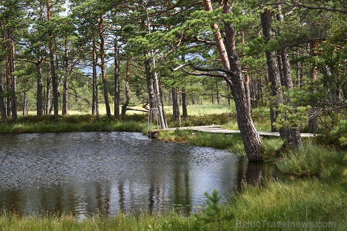 Iepazīsti dabas skaistumu Igaunijas dabas izpētes takā - Rannametsa-Tolkuse. Vairāk www.visitestonia.com 80457