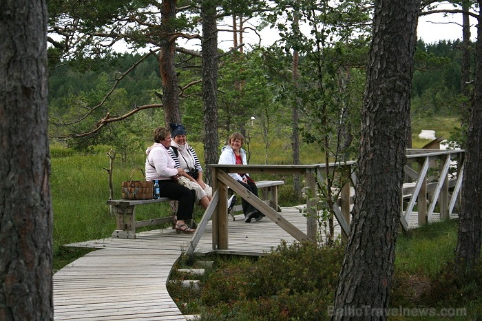 Iepazīsti dabas skaistumu Igaunijas dabas izpētes takā - Rannametsa-Tolkuse. Vairāk www.visitestonia.com 80460