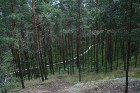Iepazīsti dabas skaistumu Igaunijas dabas izpētes takā - Rannametsa-Tolkuse. Vairāk www.visitestonia.com 2
