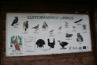 Iepazīsti dabas skaistumu Igaunijas dabas izpētes takā - Rannametsa-Tolkuse. Vairāk www.visitestonia.com 4