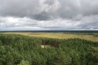 Iepazīsti dabas skaistumu Igaunijas dabas izpētes takā - Rannametsa-Tolkuse. Vairāk www.visitestonia.com 7