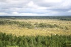 Iepazīsti dabas skaistumu Igaunijas dabas izpētes takā - Rannametsa-Tolkuse. Vairāk www.visitestonia.com 10