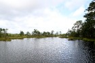Iepazīsti dabas skaistumu Igaunijas dabas izpētes takā - Rannametsa-Tolkuse. Vairāk www.visitestonia.com 26