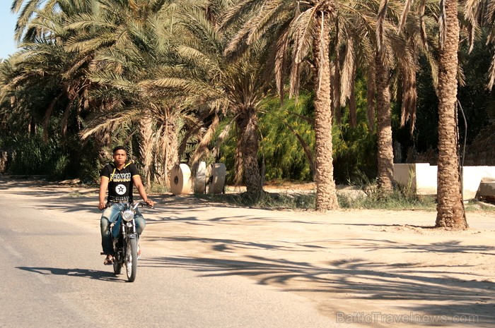 Travelnews.lv devās uz vienu no Tunisijas oāzēm, lai ieraudzītu kā aug dateles, citroni, banāni un granātāboli 80890