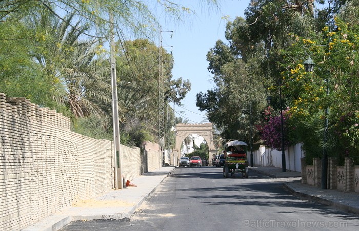 Travelnews.lv devās uz vienu no Tunisijas oāzēm, lai ieraudzītu kā aug dateles, citroni, banāni un granātāboli 80916