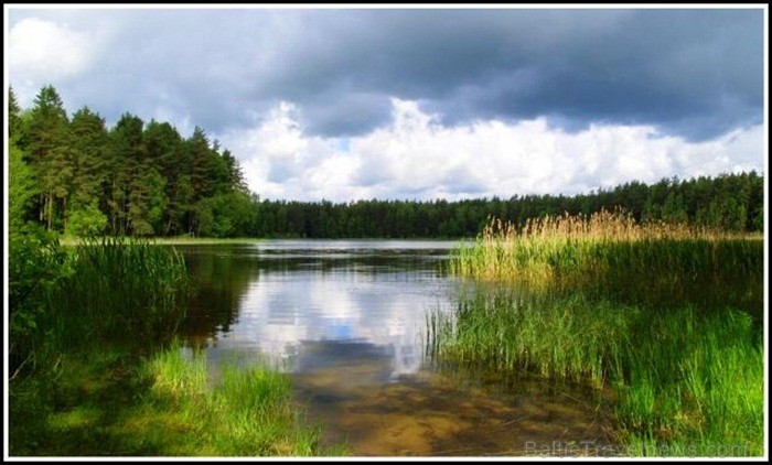 Par vasaras mirkļa foto vēl notiek balsošana līdz 21. septembrim. Nobalsot var  šeit 82022