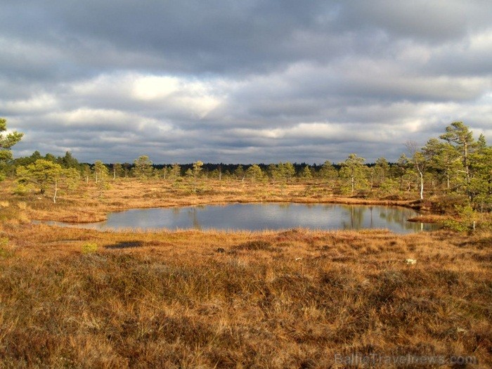 Igaunijā iestājas zelta rudens, pārvēršot tās dabu un darbus rudens krāsās. Foto: www.visitestonia.com 82415