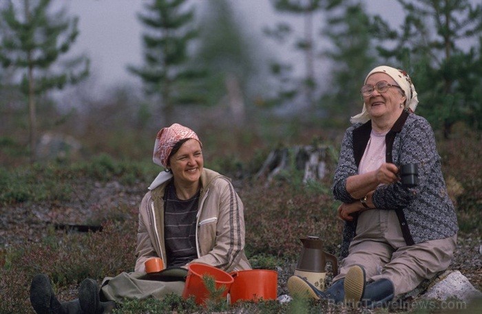 Igaunijā iestājas zelta rudens, pārvēršot tās dabu un darbus rudens krāsās. Foto: www.visitestonia.com 82421