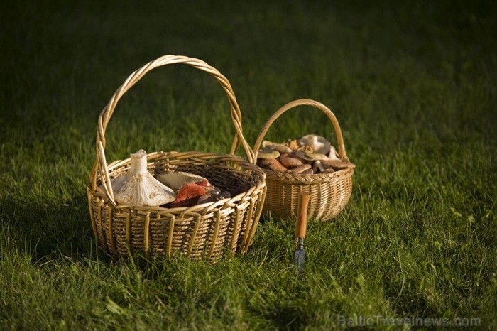 Igaunijā iestājas zelta rudens, pārvēršot tās dabu un darbus rudens krāsās. Foto: www.visitestonia.com 82426