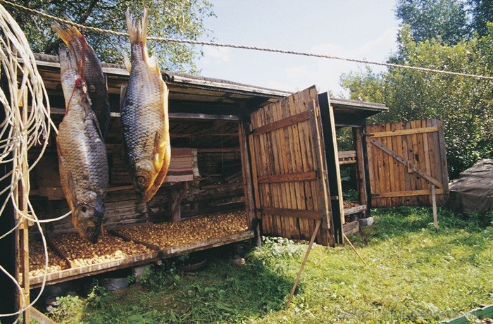 Igaunijā iestājas zelta rudens, pārvēršot tās dabu un darbus rudens krāsās. Foto: www.visitestonia.com 82429