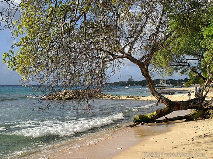 Ruma dzimtene – Barbadosa pārsteidz ar savu mantojuma, kultūras un dabas krāšņumu. Foto: www.visitbarbados.org 82669