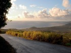 Ruma dzimtene – Barbadosa pārsteidz ar savu mantojuma, kultūras un dabas krāšņumu. Foto: www.visitbarbados.org 5