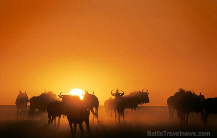 Namībija ir valsts Āfrikas dienvidrietumu piekrastē, kuras dzīvē daba neatstāj vienaldzīgu nevienu dabas mīļotāju. Foto: www.namibiatourism.com 82903