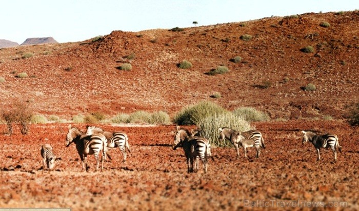 Namībija ir valsts Āfrikas dienvidrietumu piekrastē, kuras dzīvē daba neatstāj vienaldzīgu nevienu dabas mīļotāju. Foto: www.namibiatourism.com 82935