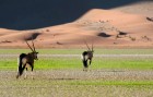 Namībija ir valsts Āfrikas dienvidrietumu piekrastē, kuras dzīvē daba neatstāj vienaldzīgu nevienu dabas mīļotāju. Foto: www.namibiatourism.com 25