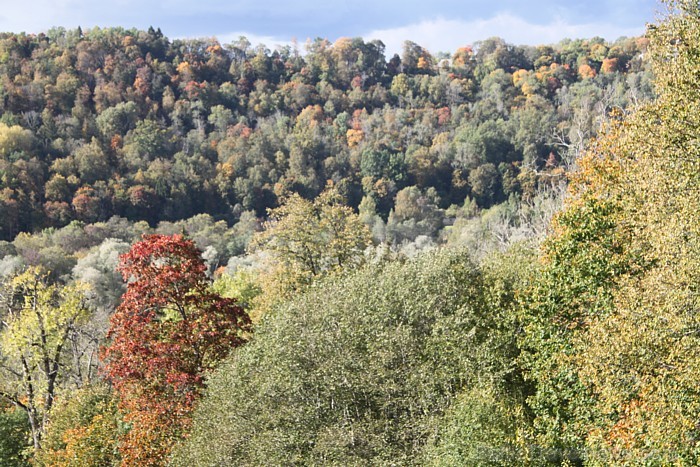 Zelta rudens iezīmējas Siguldā. Foto sponsors: www.tourism.sigulda.lv 82938