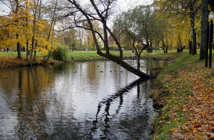 Sigulda joprojām ir nemainīga rudens klasika, par kuru interese nav mazinājusies. Foto: www.tourism.sigulda.lv 83428